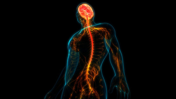Boli ale măduvei spinării: atac de cord, neoplasme și altele.  Primele semne și pericole