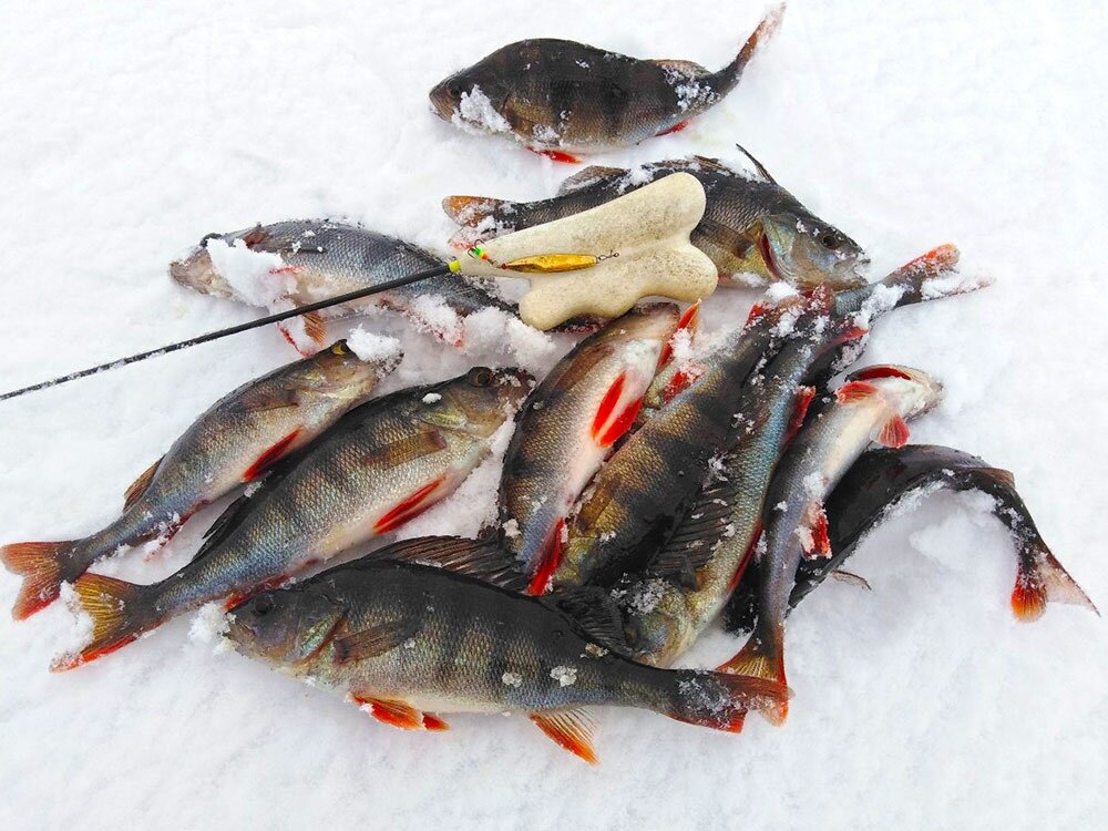 Рыболовные катушки -> Безынерционные катушки Shimano, Daiwa, Ryobi