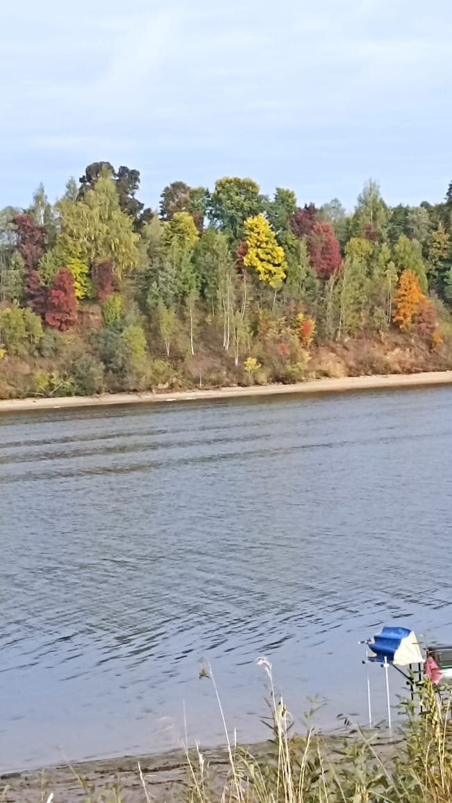 Краски природы