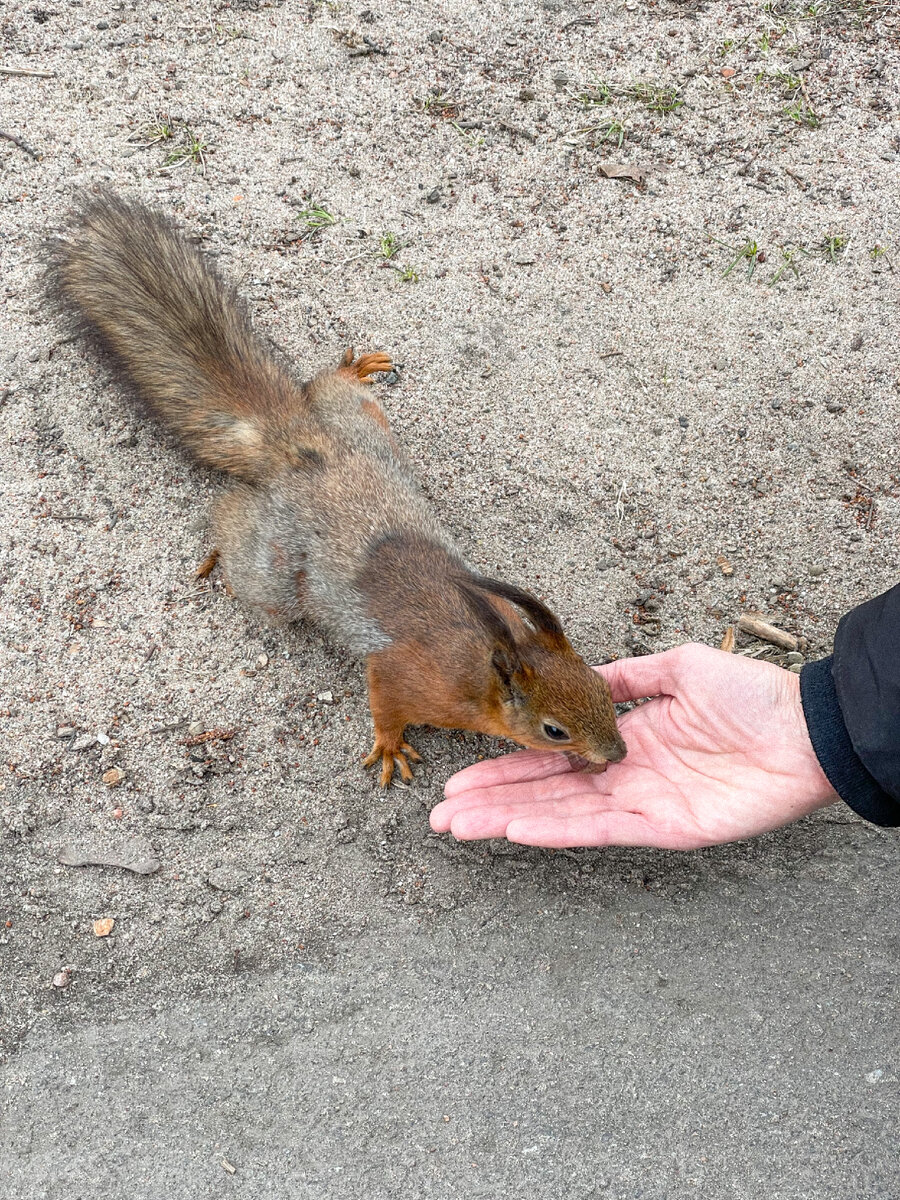 Фото из архива автора 