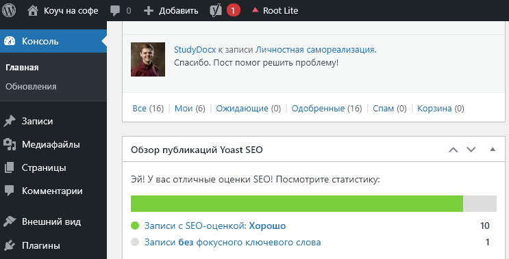 Показатели СЕО на моём сайте