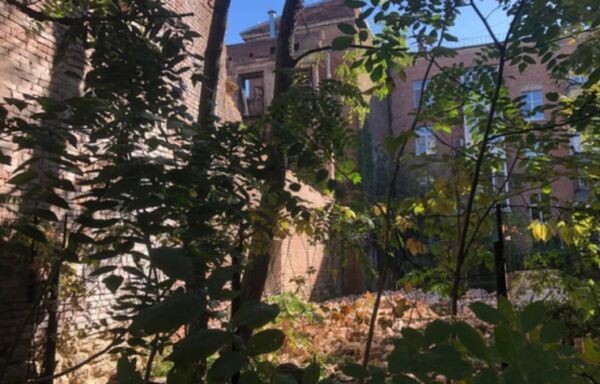 Источник фото: yandex.ru/images