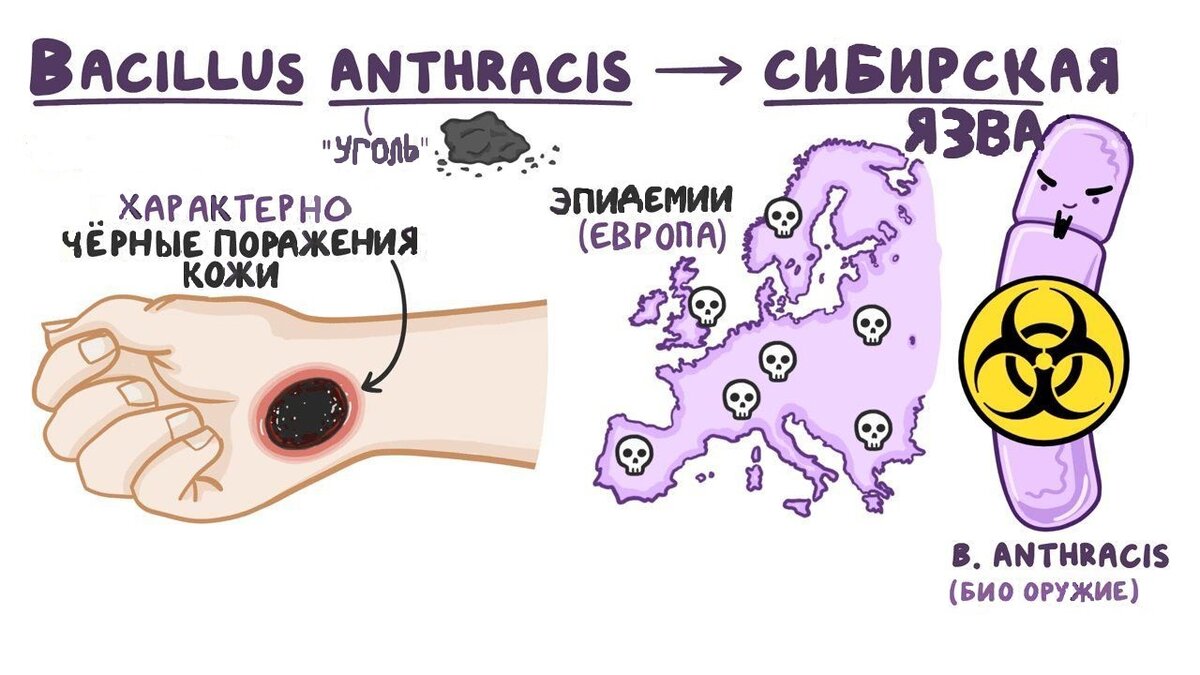 Рисунок исправлен автором (переведен с английского языка). Оригинал взят с сайта sthesecondangle.com