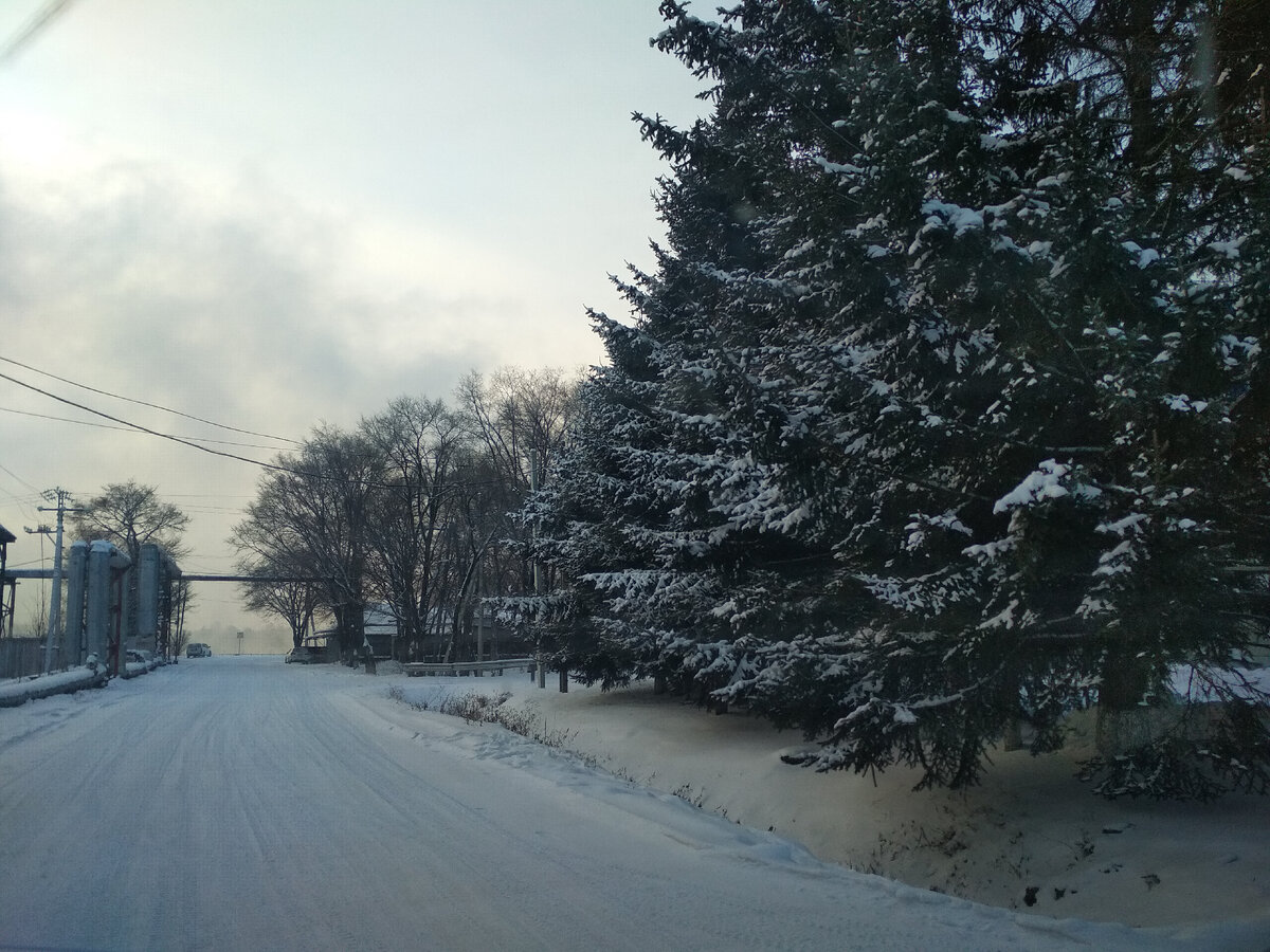 Фото автора. Мороз -35*, а вчера вообще -40*.
