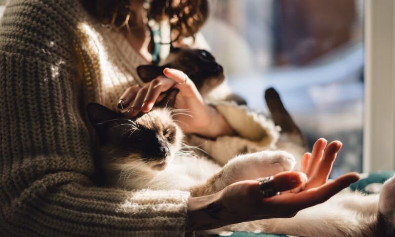 Фото freepik.com