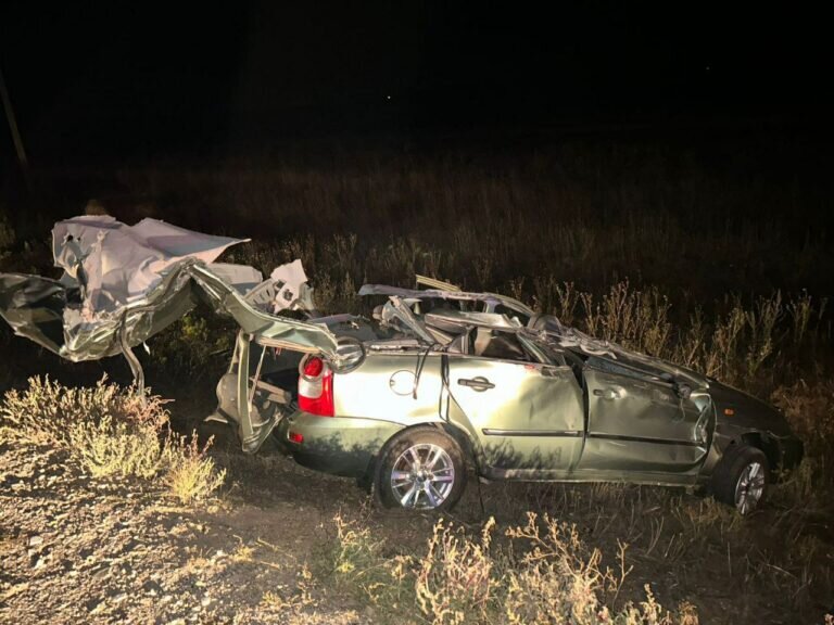    В Новосергиевском районе в тройном ДТП погибла 59-летняя женщина Кристина Просвиркина