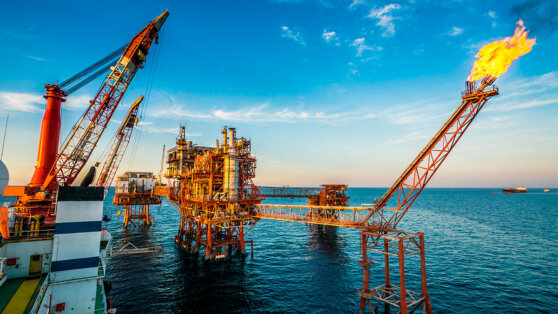    В Госдуме предложили ввести налог на сверхприбыль для нефтегазовых компаний Татьяна Сидорова