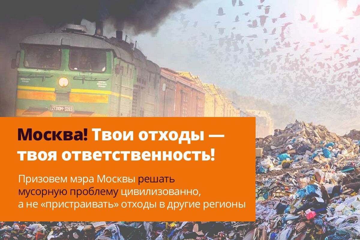 Твоя москва отзывы