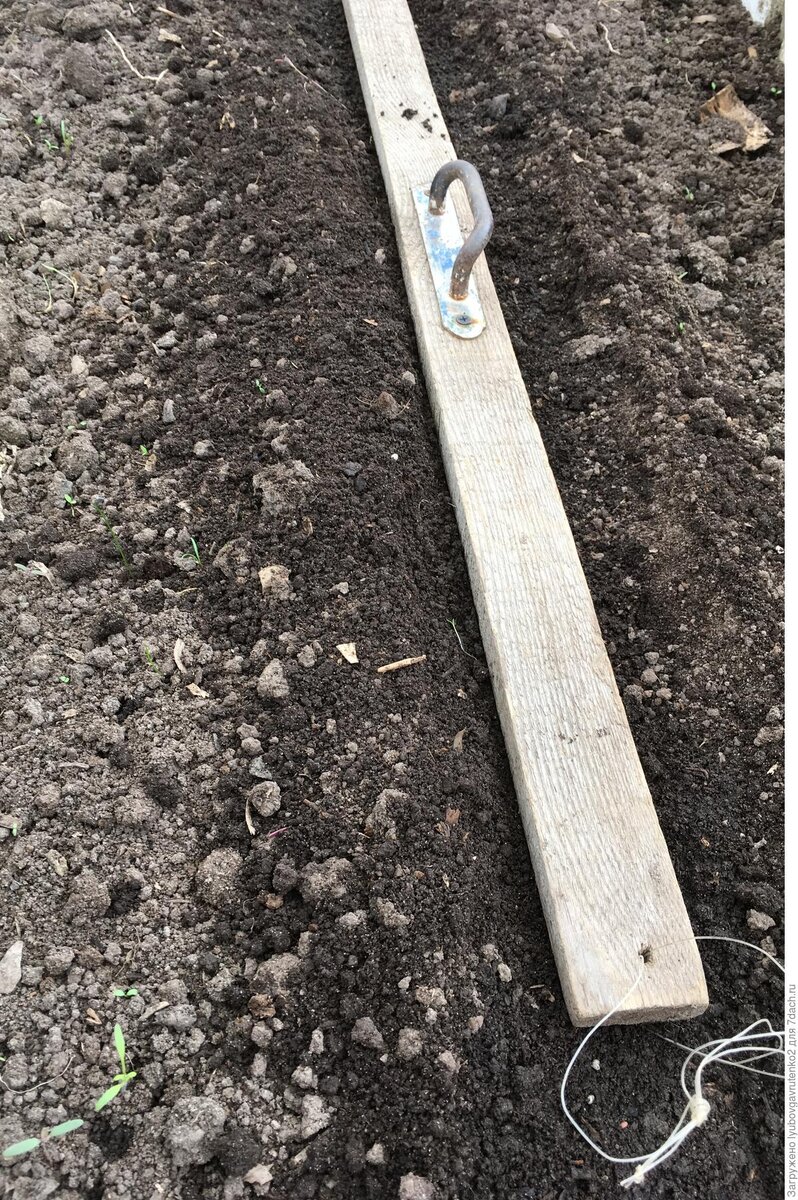 Фото с сайта: 7дач,ру