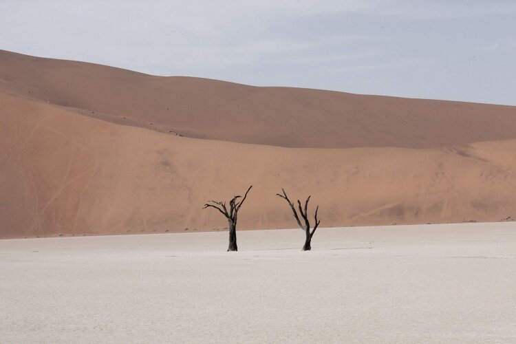 Фото: maroesjkalavigne.be