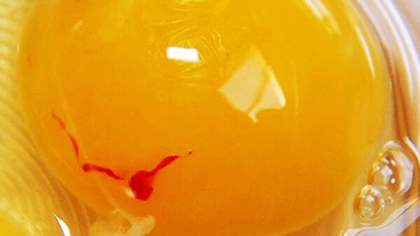 Почему бывают яйца с кровью и можно ли их есть?