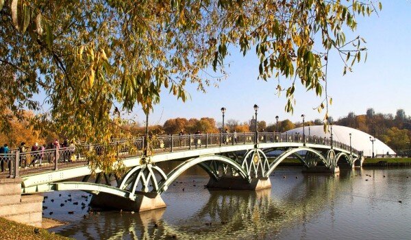 фото: С. Губачев