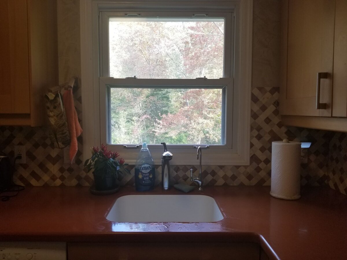 Фото: А. Парфенова, США