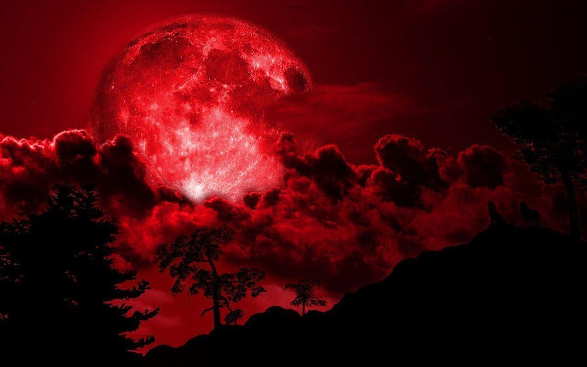 pixabay.ru