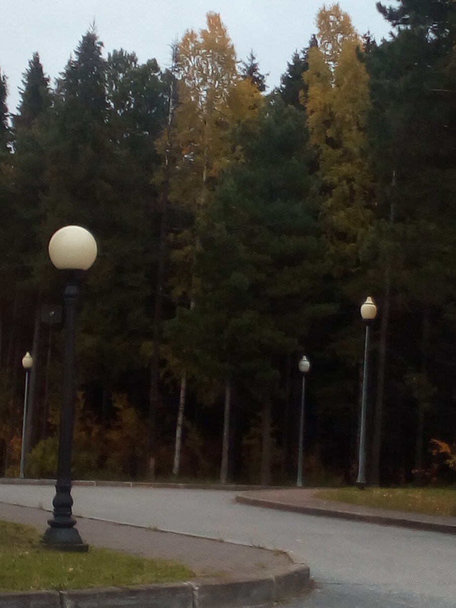 фото из личного архива