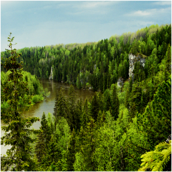 пока свободная речка 