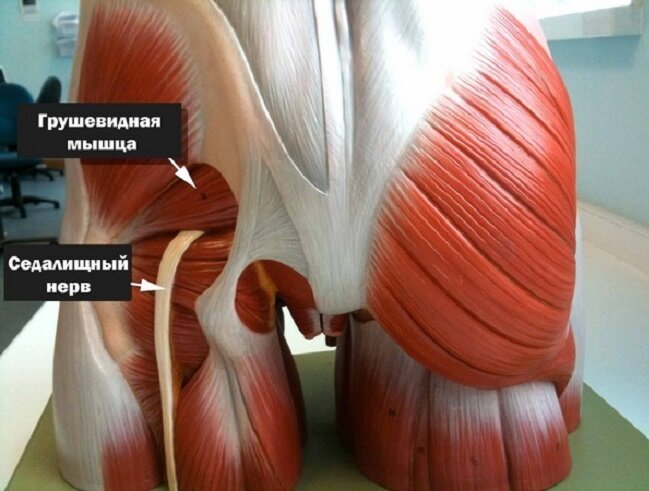 [caption id="attachment_2252" align="aligncenter" width="649"] Внешний вид в момент выхода[/caption]