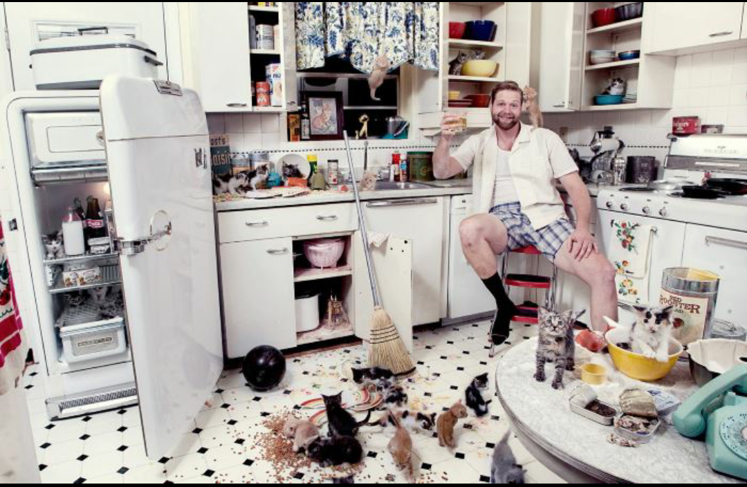 Яндекс фото