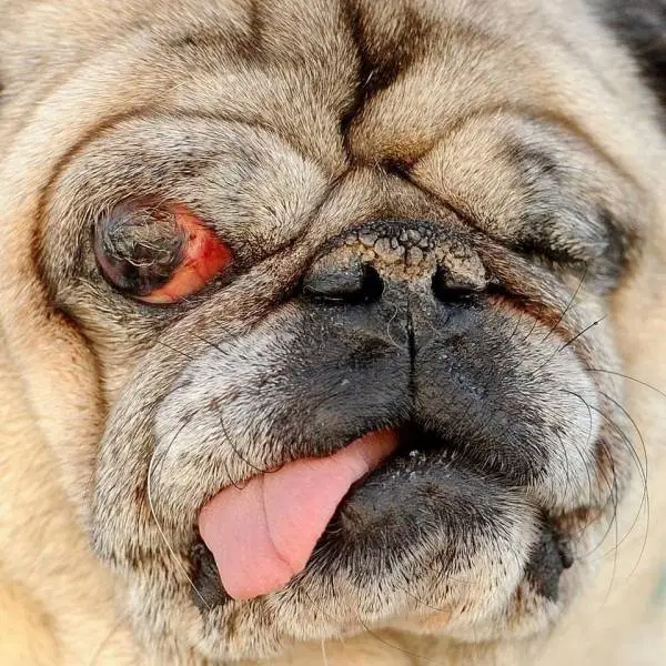 kron4.com/wp-content/uploads/sites/11/2015/06/ap110624160088_18_36710487_ver1.0.jpg?w=600&h=600&crop=1