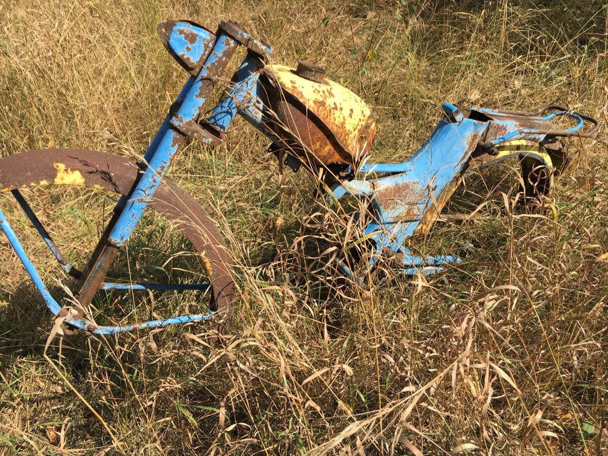 Заброшенные автомобили в Чернобыльской зоне отчуждения. Наши дни