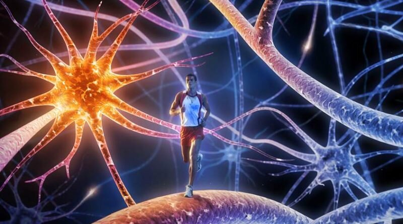 Спортивная генетика - РЕАЛЬНО ли это?