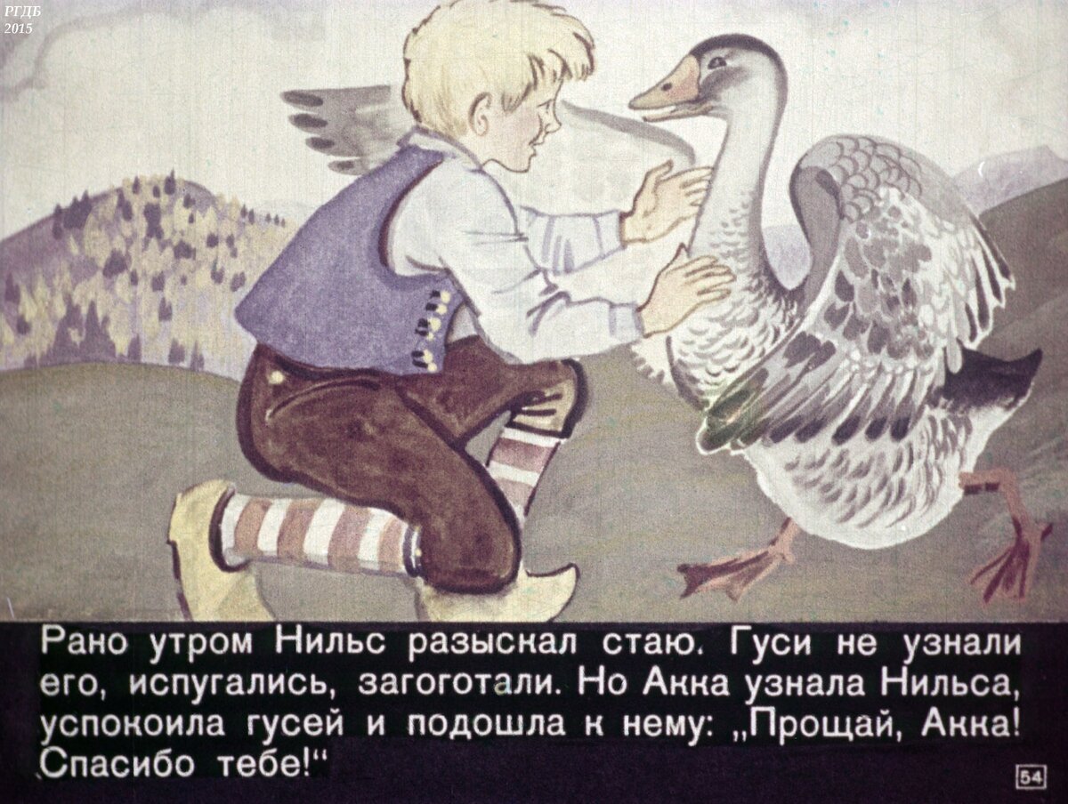 Нильса с дикими гусями аудиокнига. Как звали белку из Нильса. Памятник гусю и Нильсу в Японии. Гусь Нильса 6 букв сканворд.