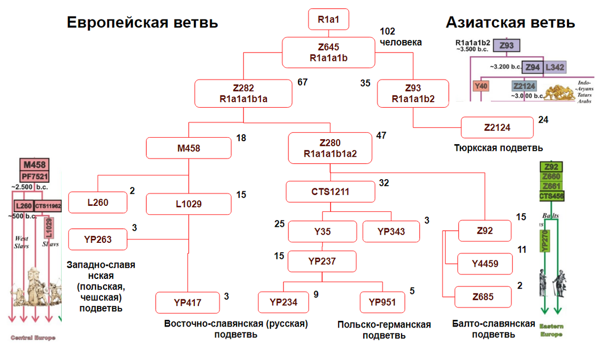 Гаплогруппа i1