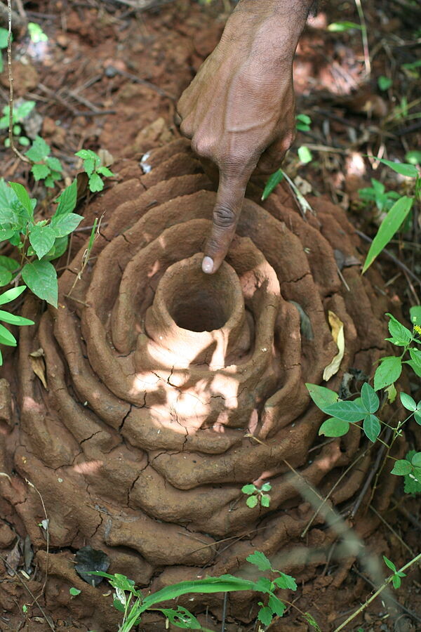 Источник: Яндекс. Картинки