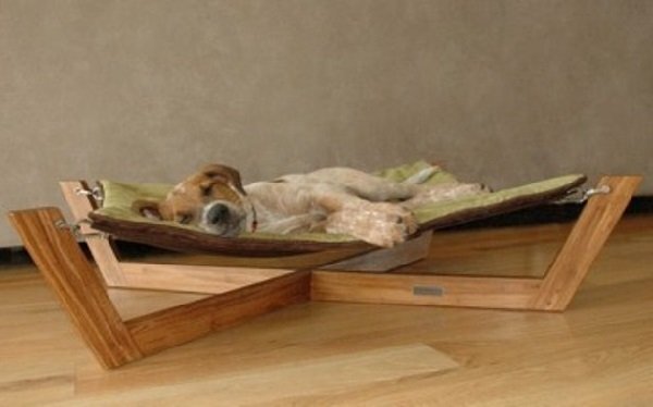 [caption id="attachment_11369" align="aligncenter" width="600"] Создание здоровых условий жизни для питомца[/caption]