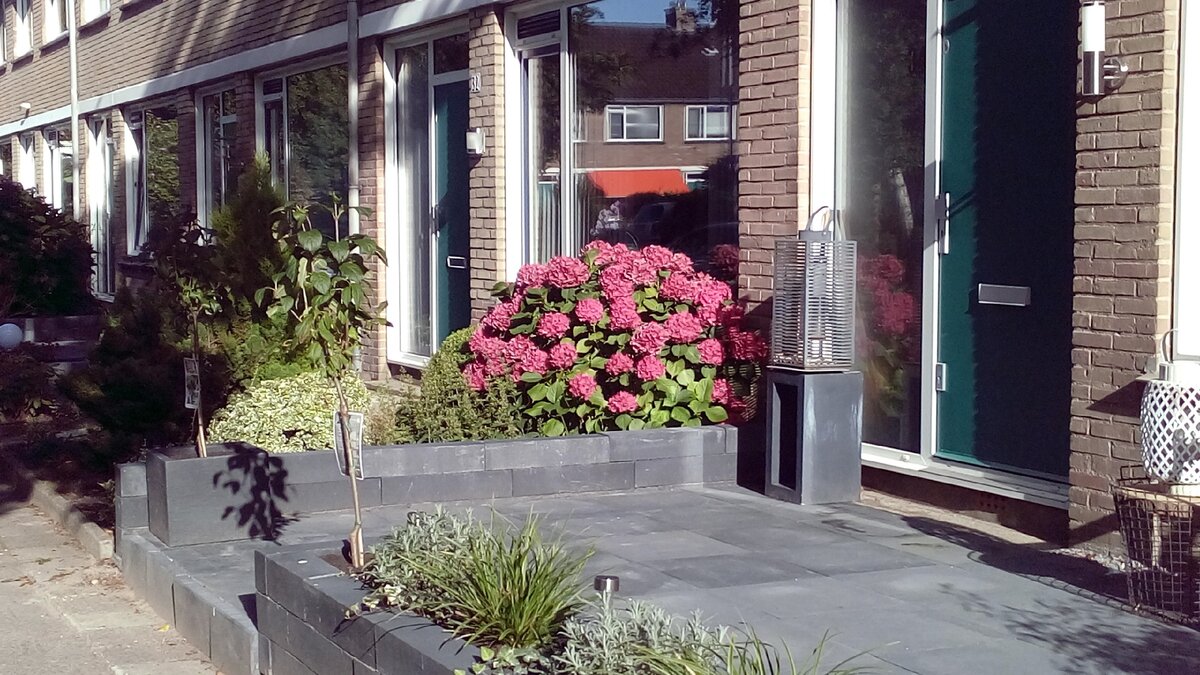 Как выглядит жилье среднестатистического голландца