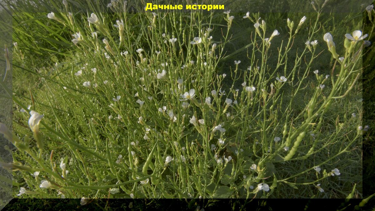 https://vk.com/photo-159774511_457243040