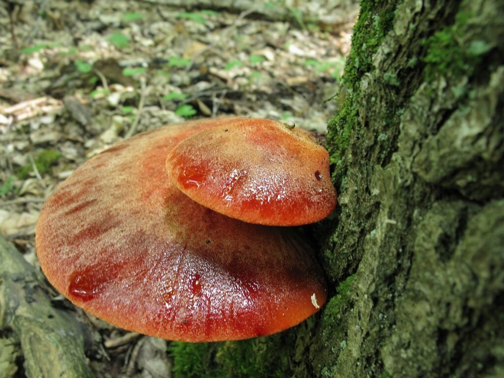 фoтo Иpины Уxaнoвoй