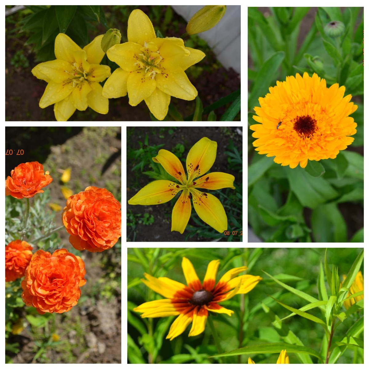 Александра Azzurro07