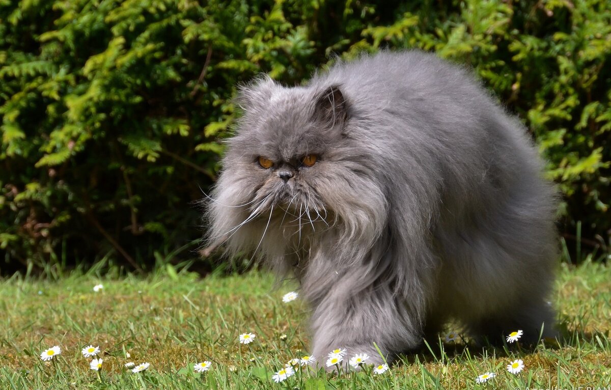 фото из свободных источников