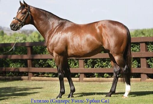 Отец френкеля