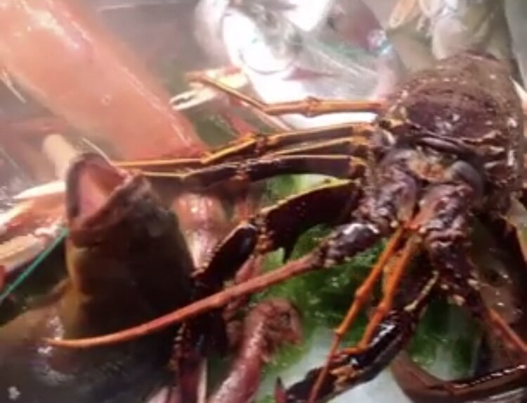 Здесь Лобстеры замороженные или свежие стоят практически одинаково