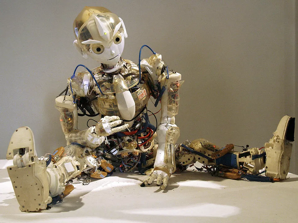 https://yandex.ru/images/search?pos=0&from=tabbar&img_url=https%3A%2F%2Fupload.wikimedia.org%2Fwikipedia%2Fcommons%2Fa%2Fa1%2FArs_Electronica_2008_Kotaro.jpg&text=%D0%93%D1%83%D0%BC%D0%B0%D0%BD%D0%BE%D0%B8%D0%B4%D0%BD%D1%8B%D0%B5+%D1%80%D0%BE%D0%B1%D0%BE%D1%82%D1%8B&rpt=simage