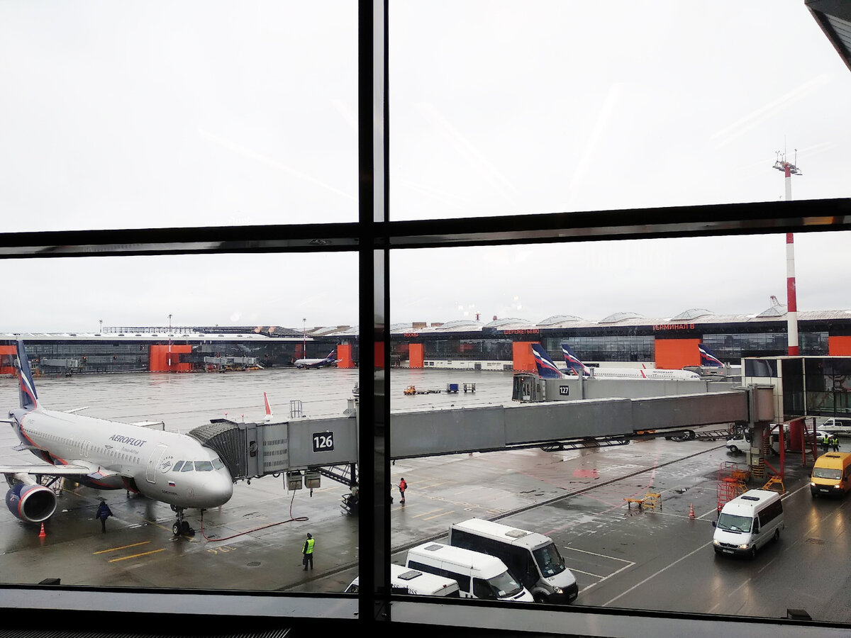 Фото самолета в аэропорту шереметьево