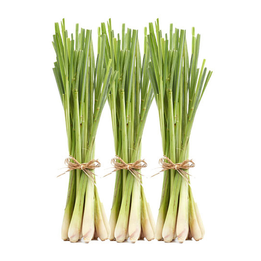 Связки стеблей Лемонграсса