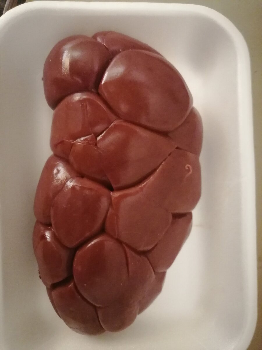 Почки говяжьи