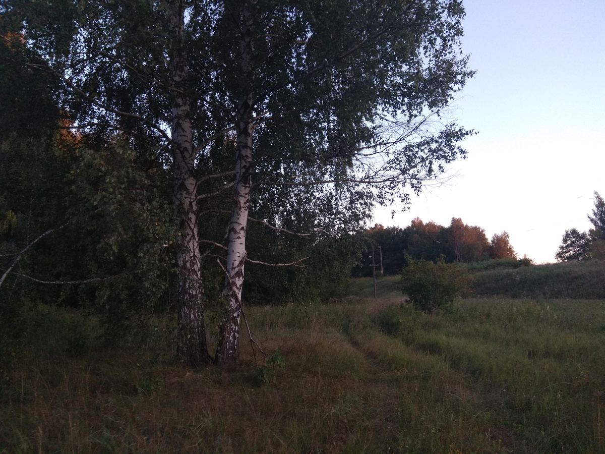 личное фото