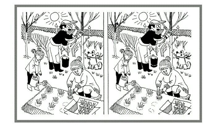 Найди 15 отличий 