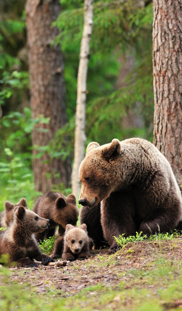 Фото из интернета