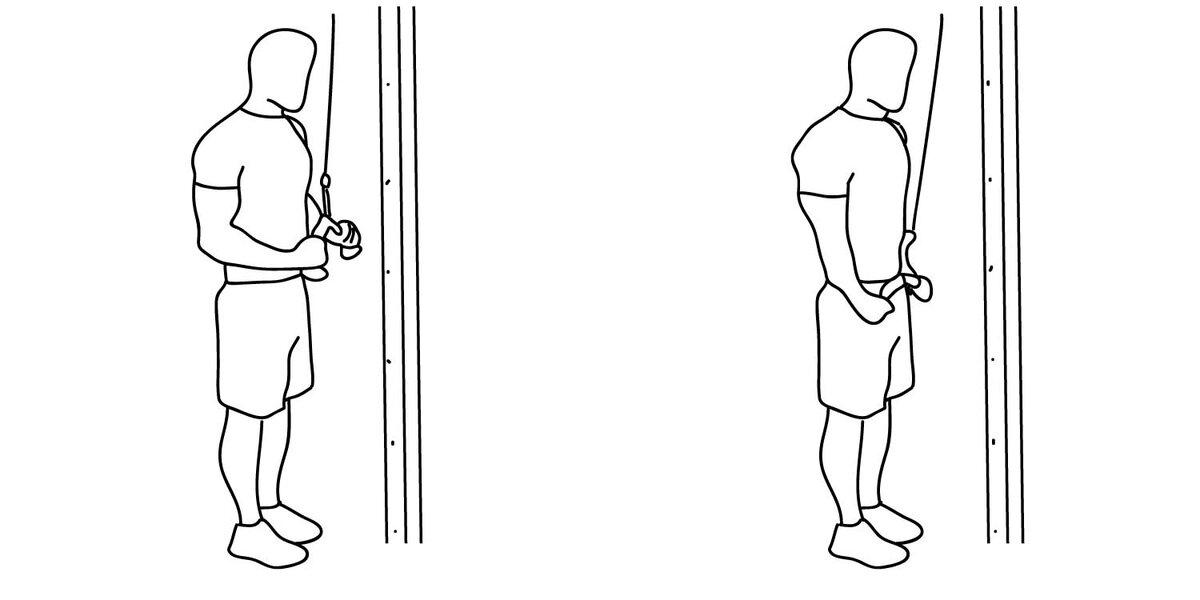 Разгибания в блоке (ручка - уголок)