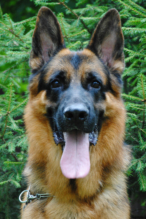 фото из личного архива Аикиной (Марич) Ольги.