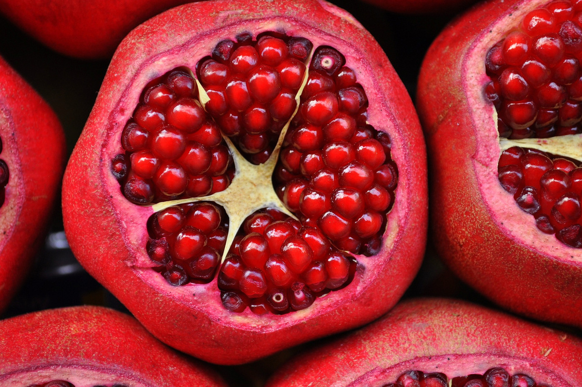 Фото: pixabay.com