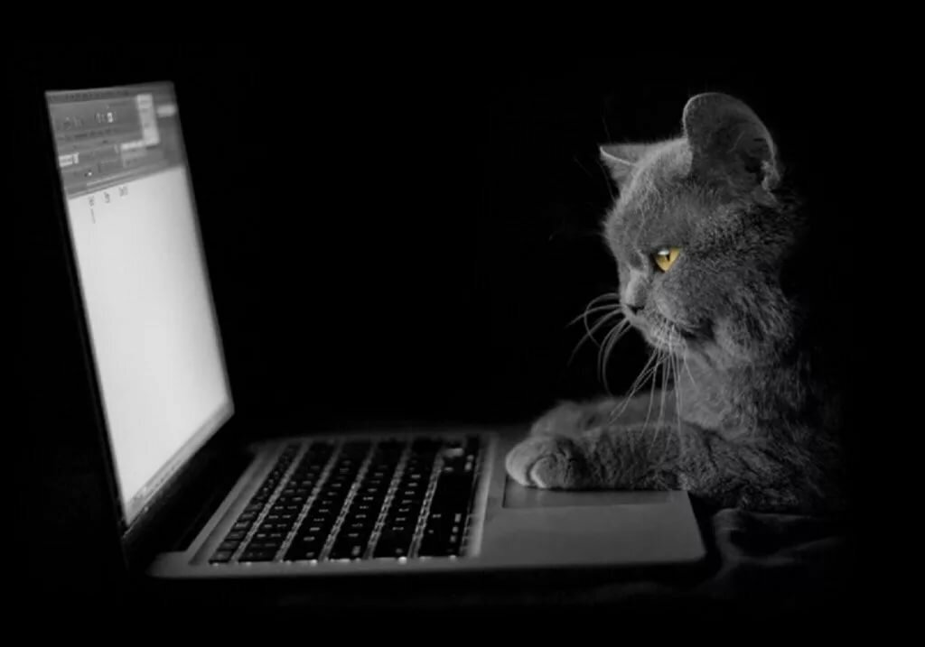 Яндекс-фото