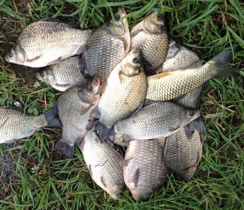 Фото из открытых источников