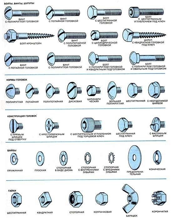 Мужикам на заметку 