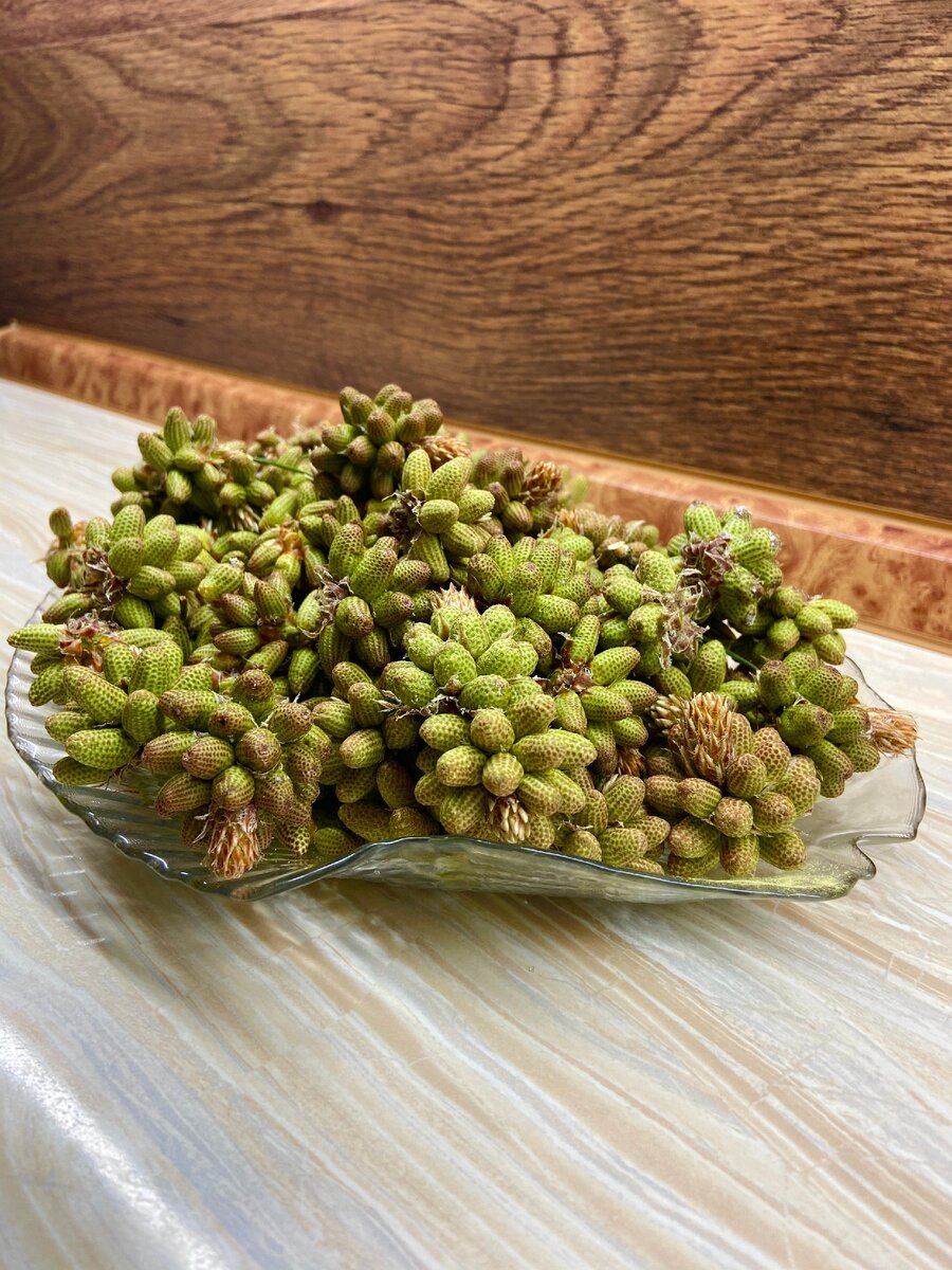 Молодые сосновые шишки – это Ваша молодость и здоровье!